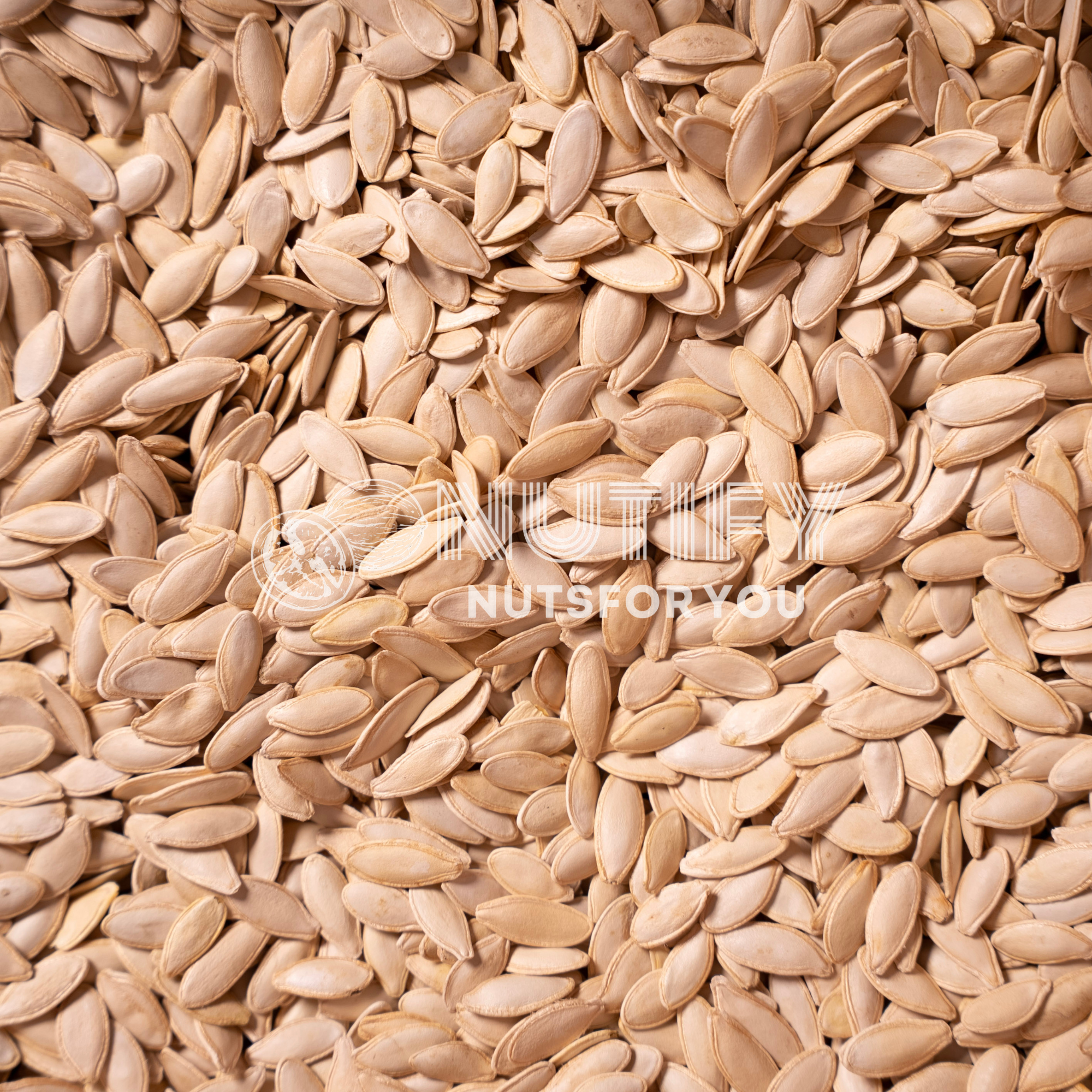 Semințe de dovleac 5KG